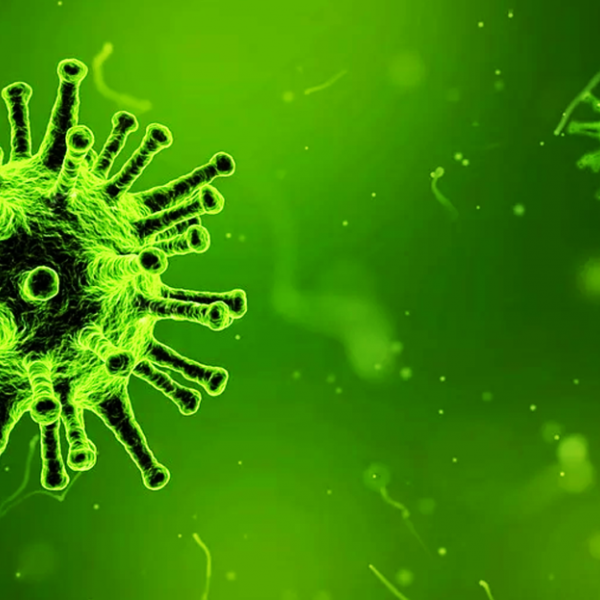 Corona Virus