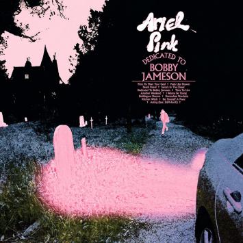 Ariel Pink, recensione Dedicated to Bobby Jameson