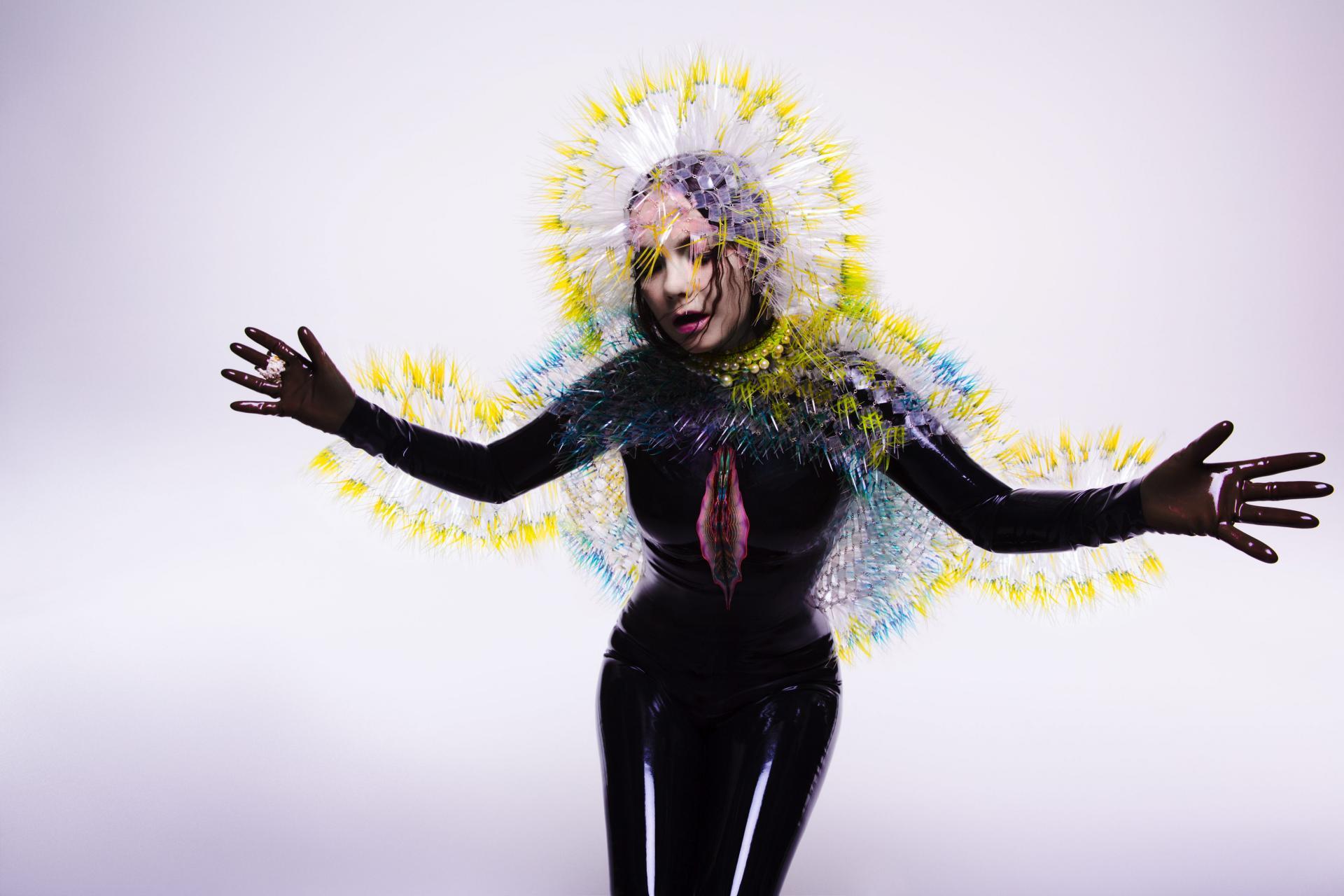 Bjork Vulnicura