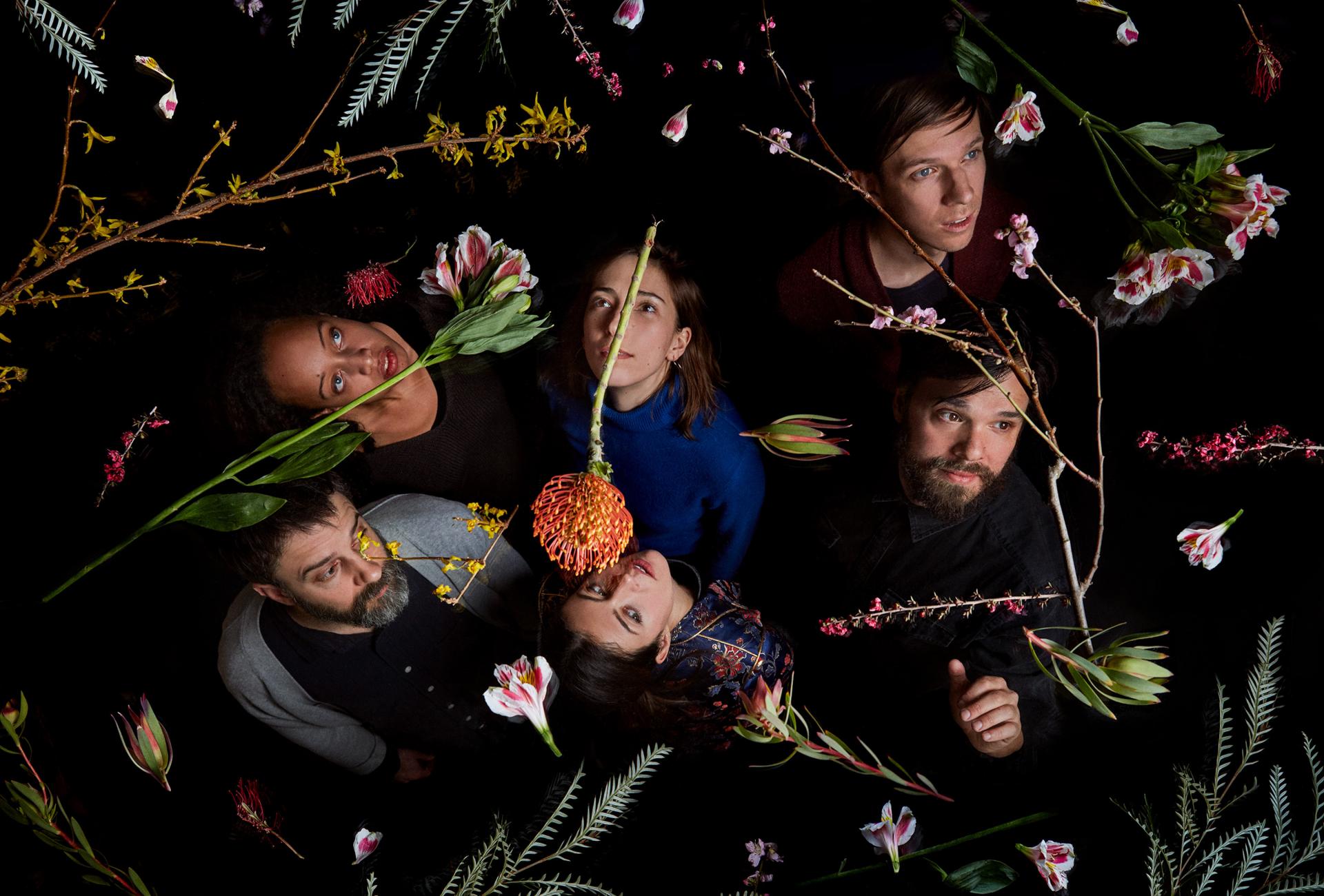 Dirty Projectors