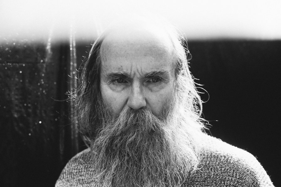 Lubomyr Melnyk (foto di Alex Kozobolis) Lubomyr Melnyk - Fallen Trees