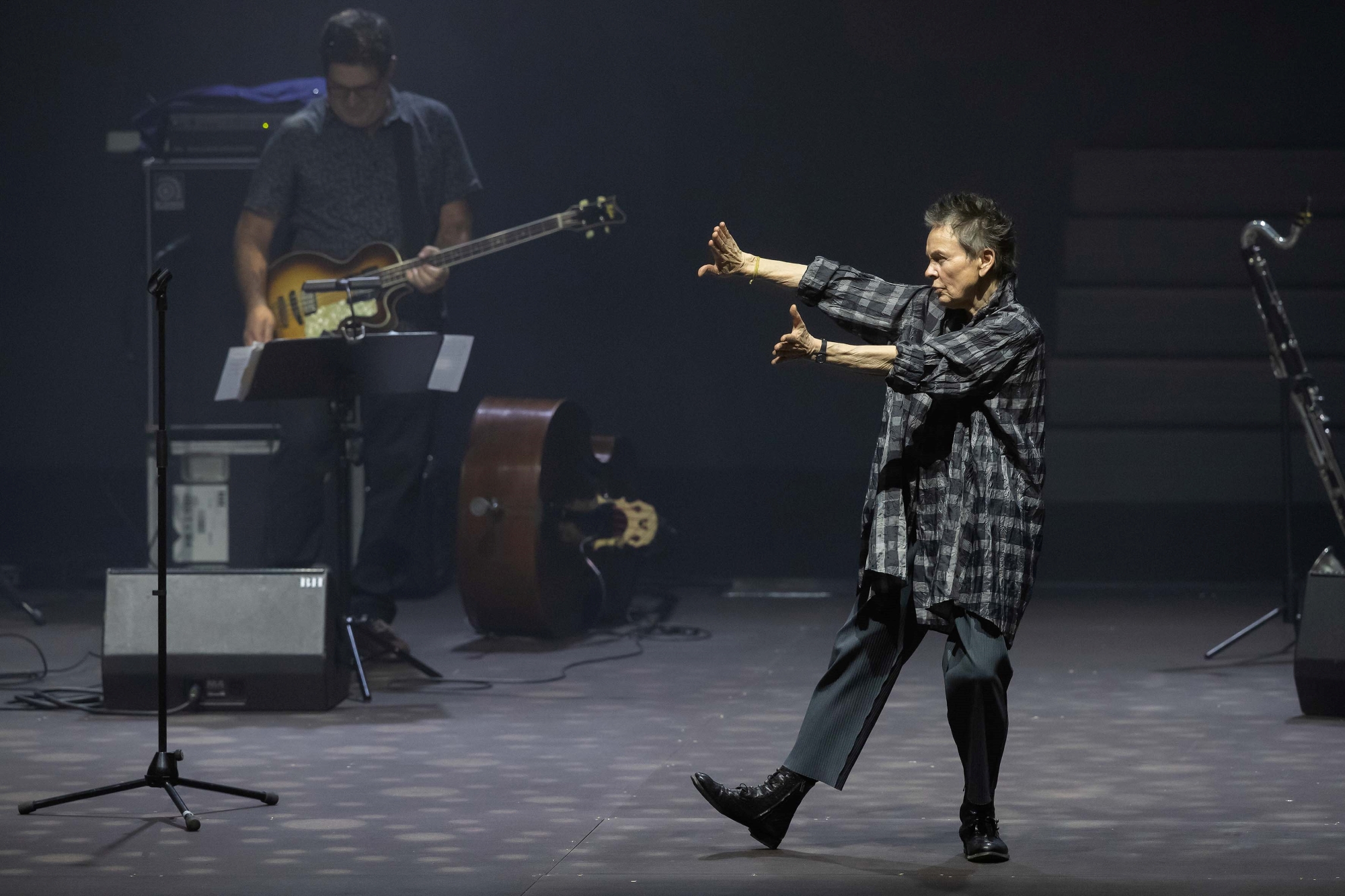 Laurie Anderson - SexMob (foto Zani-Casadio)