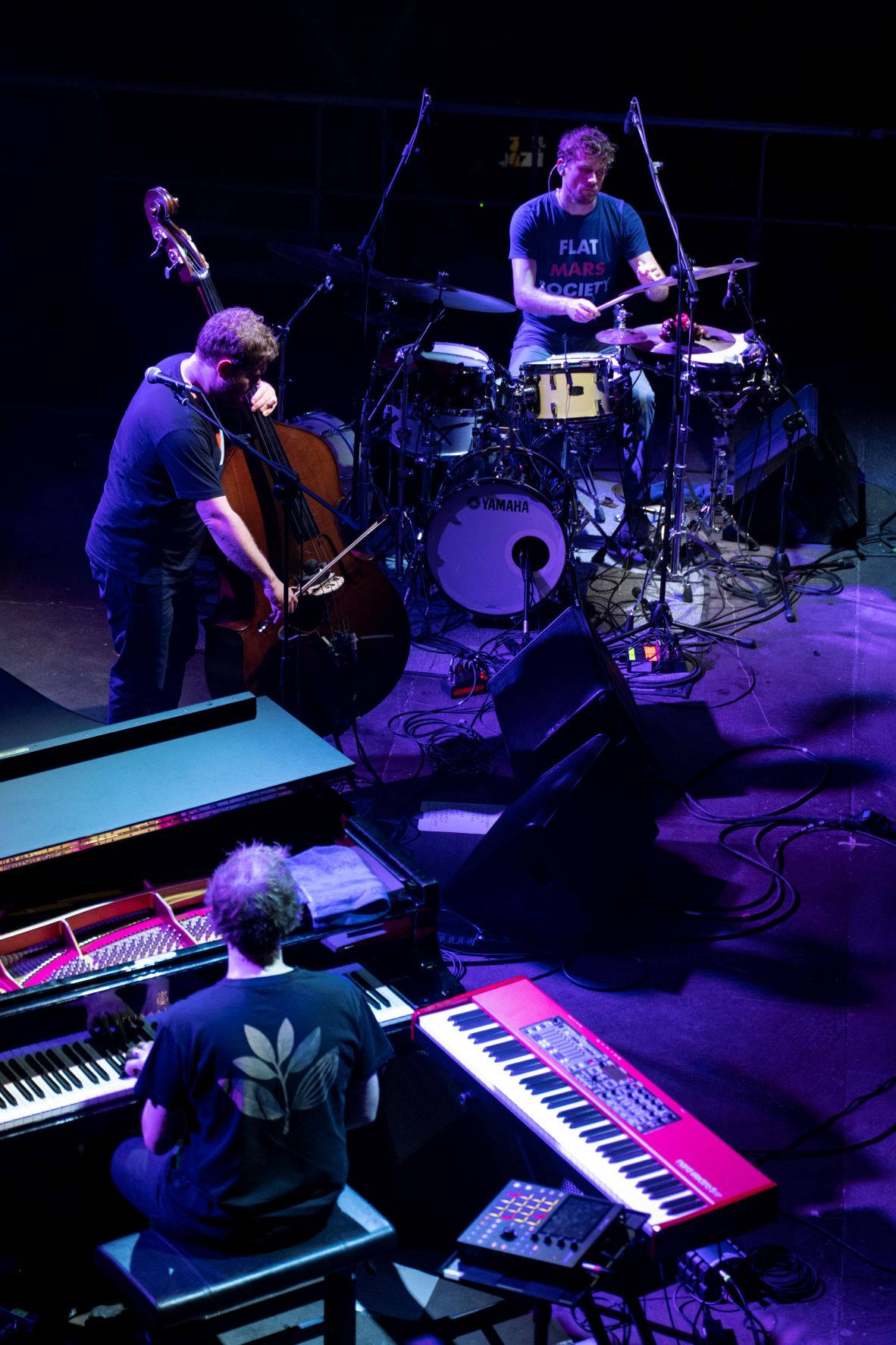 GoGo Penguin (foto Andrea Rotili)