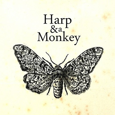 Harp & a Monkey - top 20 dischi world 2019