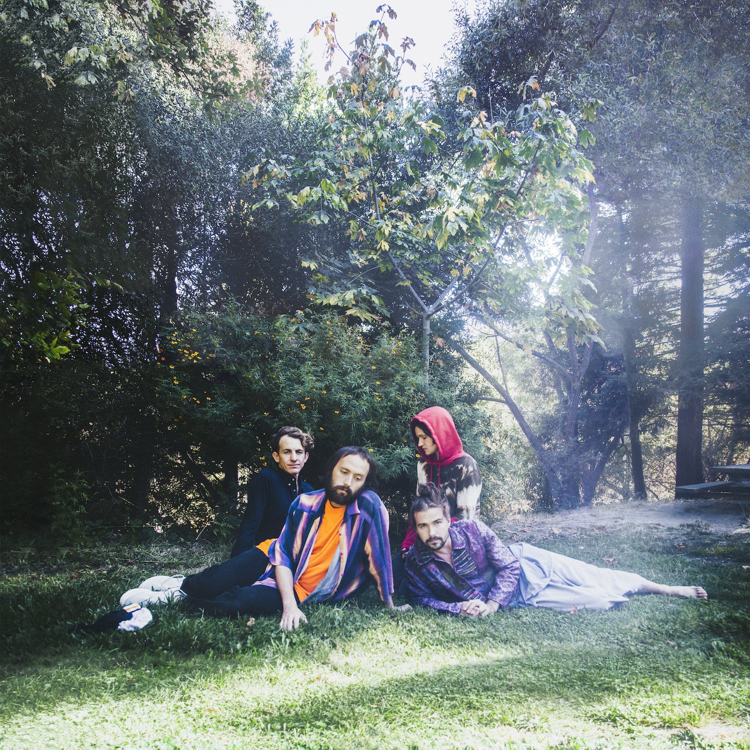 Big Thief - top 20 migliori dischi pop 2019