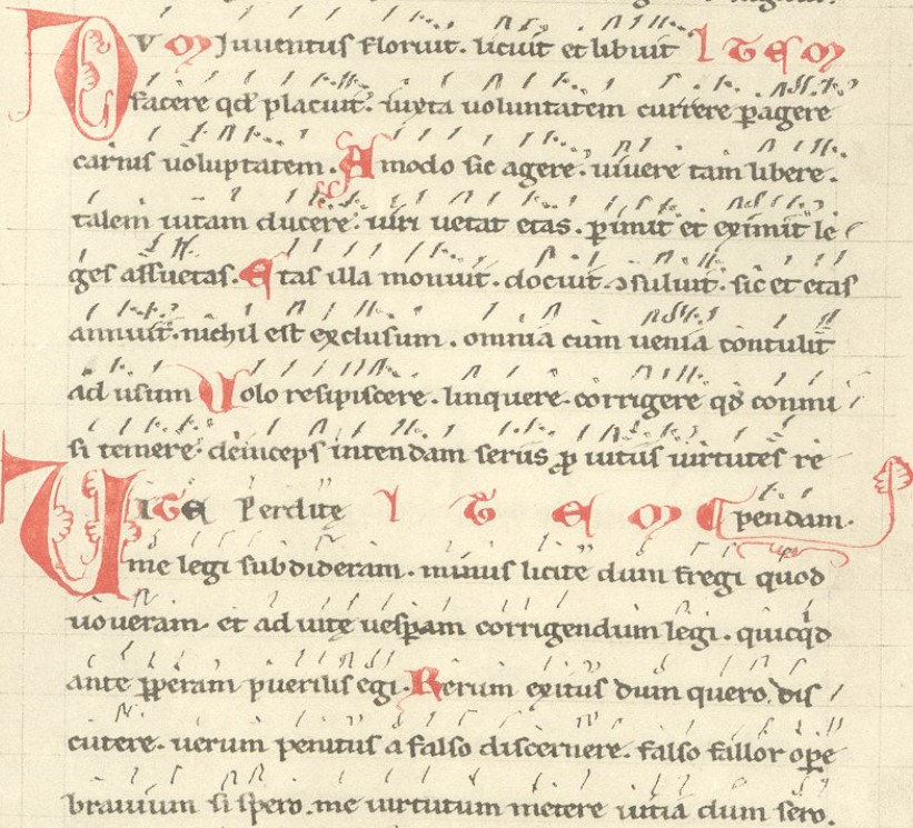 Codex Buranus - Dum iuventus floruit