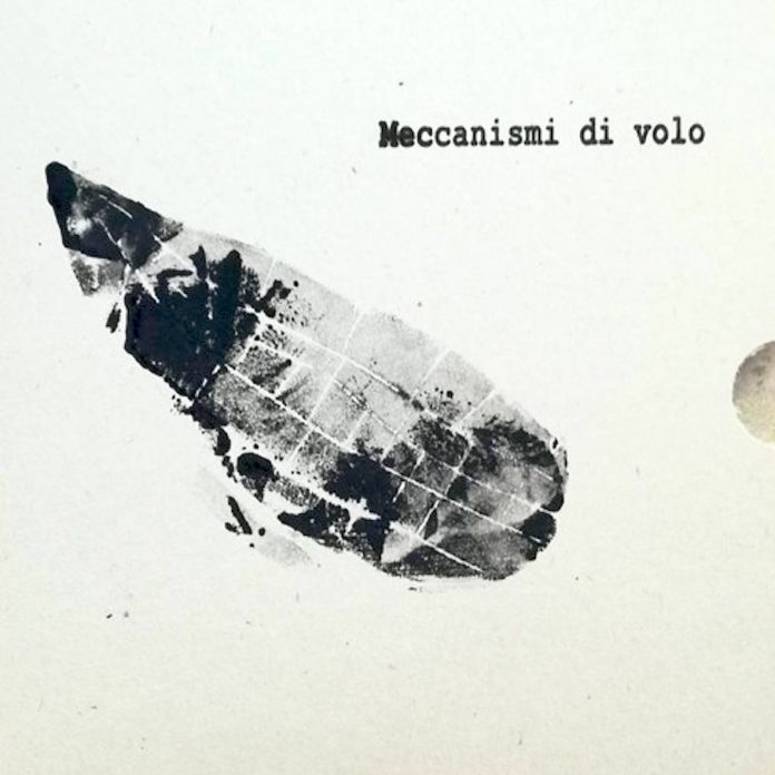 Francesco Massaro - meccanismi di volo