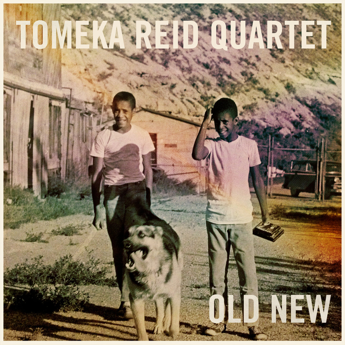 Il meglio del jazz 2019 Top 20 album - Tomeka Reid