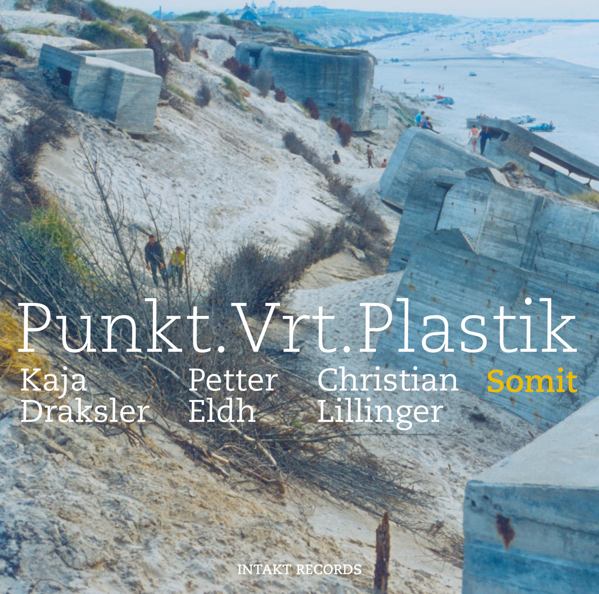 20. Punkt.Vrt.Plastik, Somit, Intakt