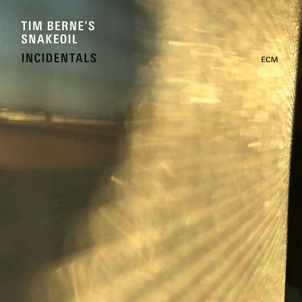 Tim Berne Snakeoil, Incidentals, ECM - i migliori dischi del 2017, jazz
