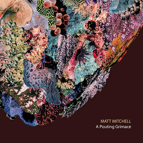9. Matt Mitchell, A Pouting Grimace, Pi Recordings - i migliori dischi jazz del 2017