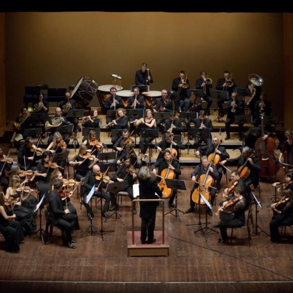Orchestra Leonore (foto Stefano Poggialini)