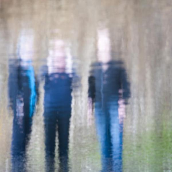 The Necks (Holimage)
