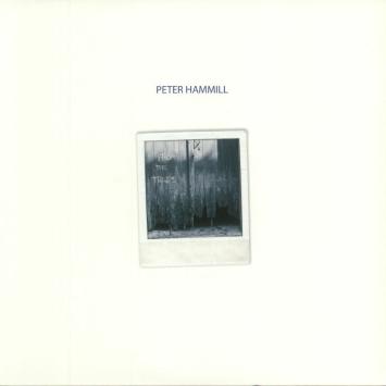 Peter Hammill From the Trees