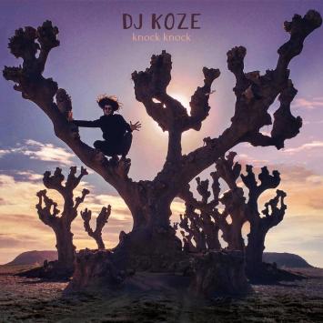 Dj Koze