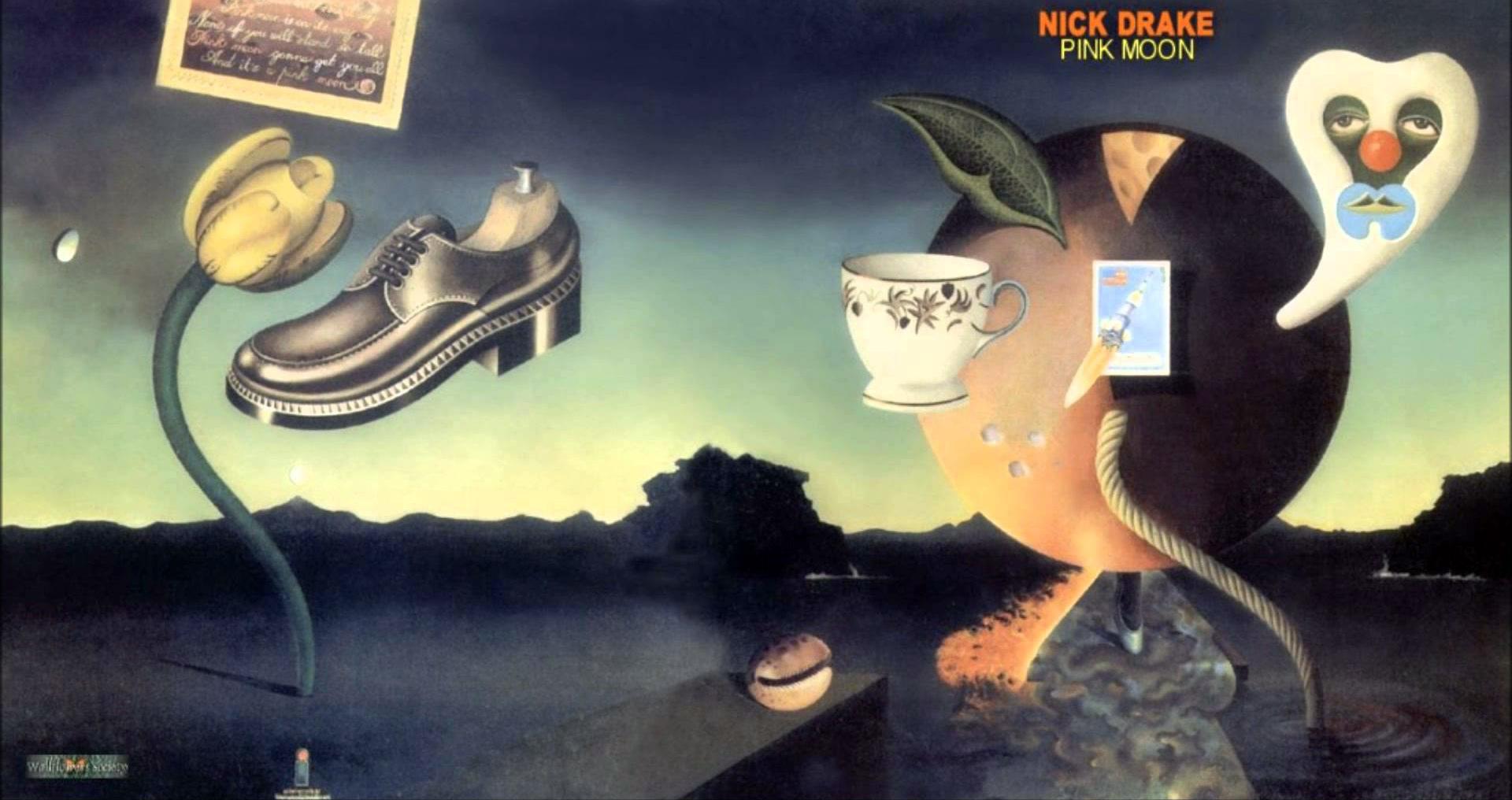 Nick Drake Pink Moon Ennio Speranza