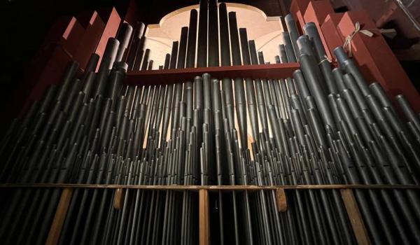 Registri. Arte dei suoni per l’organo di San Servolo