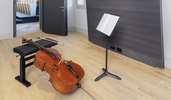 Corsi estivi Stauffer Center for Strings