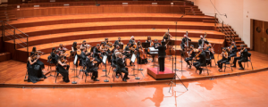 Accademia di Musica di Pinerolo - “Professione Orchestra”