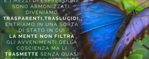 Accademia Internazionale di Eufonia