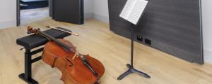 Corsi estivi Stauffer Center for Strings