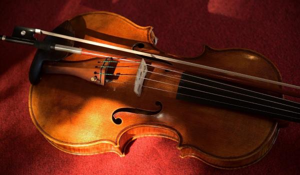 Simone Fernando Sacconi - Viola tenore 1934 (foto Claudio Rampini) Simone Fernando Sacconi - Viola tenore 1934 (foto Claudio Rampini)