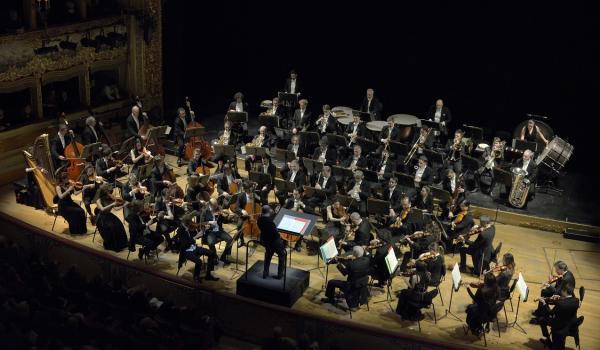 L'Orchestra di Padova e del Veneto (Foto Michele Crosera