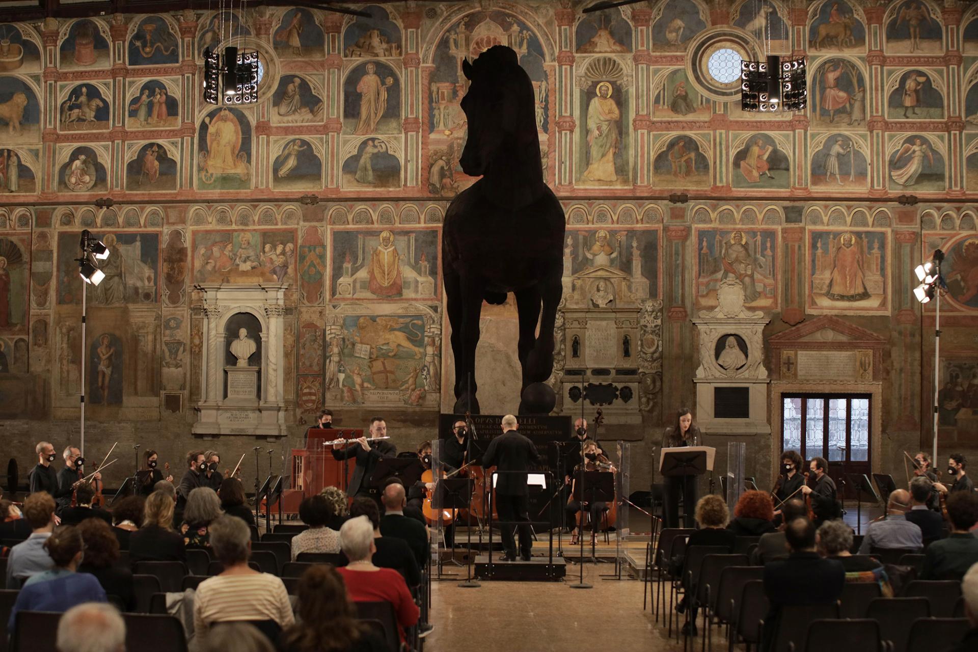 Foto di Antonio Bortolami Sciarrino OPV (foto di Antonio Bortolami)